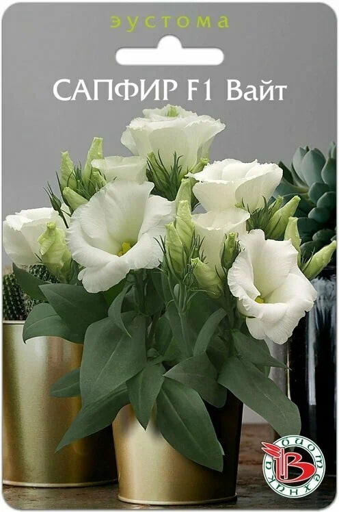 Эустома (лизиантус) горшечная Сапфир F1 Вайт 5 шт