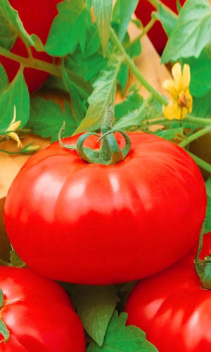 Томат Алые Паруса (УД) 20 шт цв.п