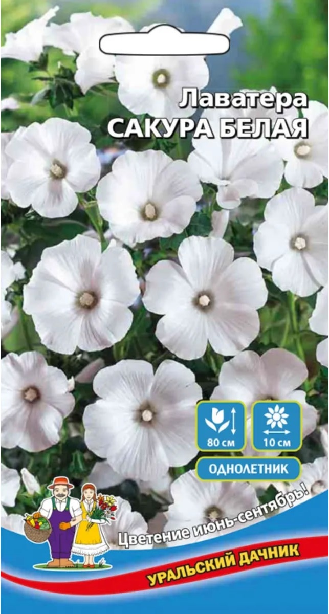 

Лаватера Сакура белая (УД) 0,2 гр цв п