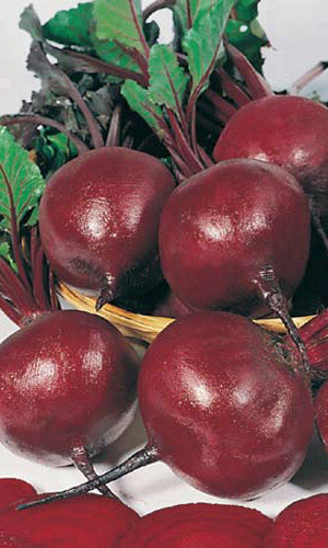 Свекла Фурор (УД) 2 гр. цв.п.