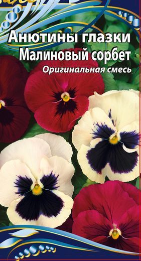 

Анютины глазки Малиновый сорбет 6 шт