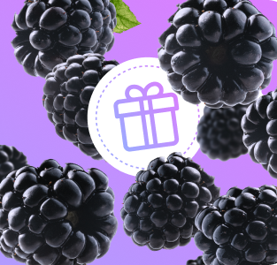 Подарки к плодовым саженцам