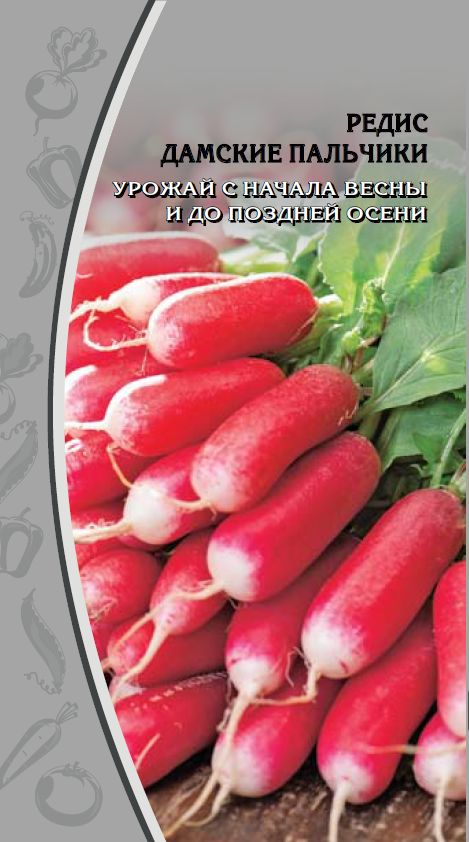 

Редис Дамские пальчики цв.п. 3 гр