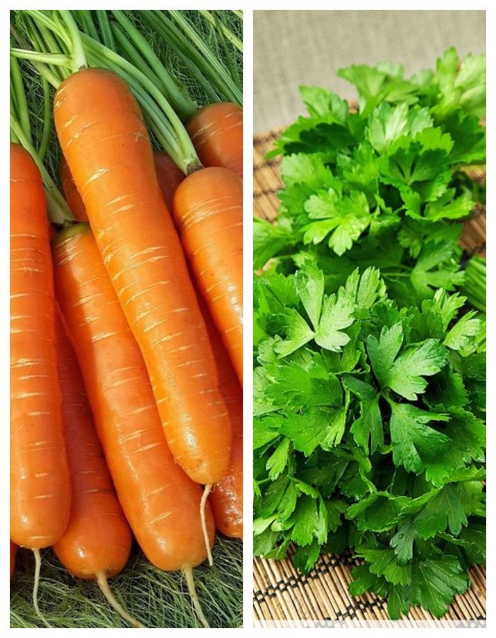 Смесь морковно-петрушечная 5 гр б.п, Морковь, Морковь семена