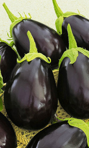 Баклажан Деликатес 163 (УД) 20 шт цв.п.