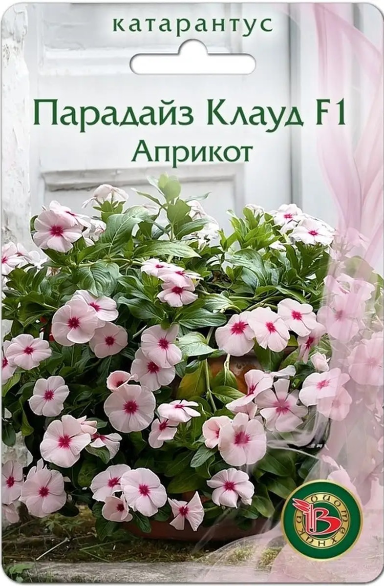 

Катарантус Парадайз Клауд F1 Априкот 5 шт