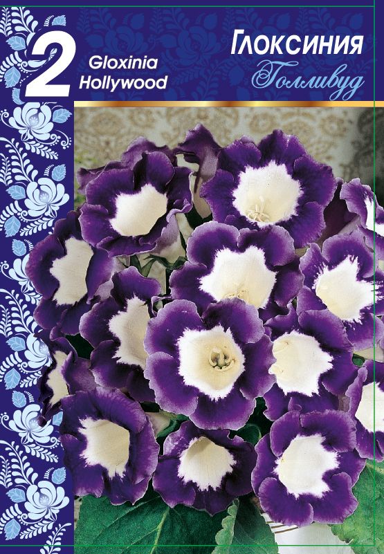 

Глоксиния Голливуд 1 уп. (2 шт.)