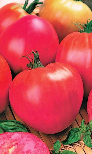 Томат Мишка Косолапый Розовый (УД) 20 шт. цв.п. 