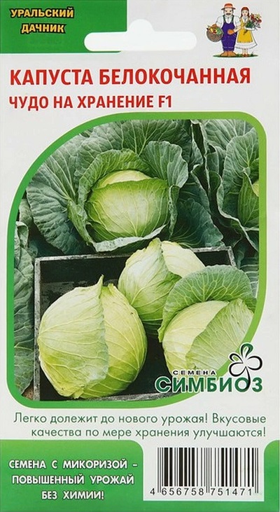Капуста белокочанная Чудо на хранение F1 УД 0,3 гр цв.п. (Симбиоз)
