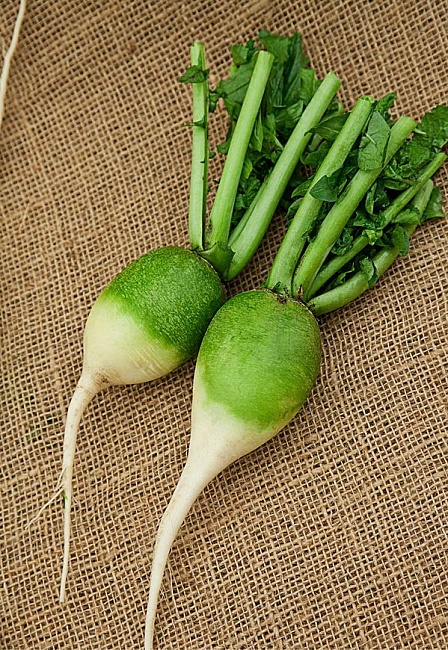 Редька китайская Маргеланская 1 гр б.п.