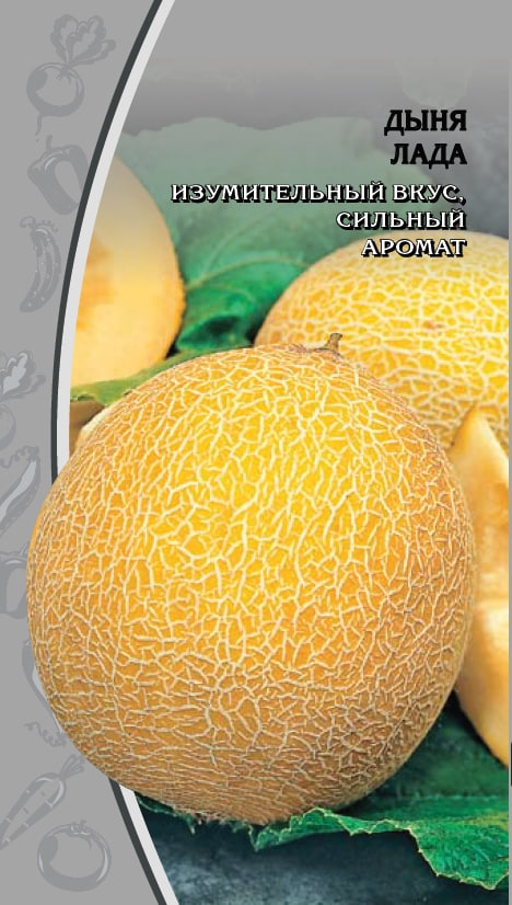 

Дыня Лада 1 гр цв.п.