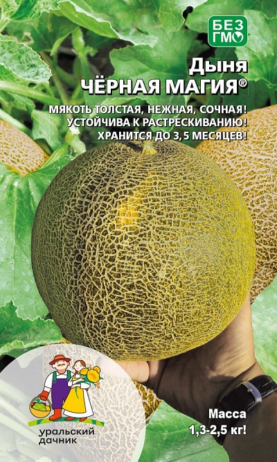 Дыня Чёрная магия (УД) 10 шт цв.п.