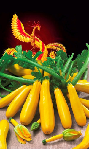 Кабачок Жар Птица - цуккини F1 (УД) 6 шт цв.п