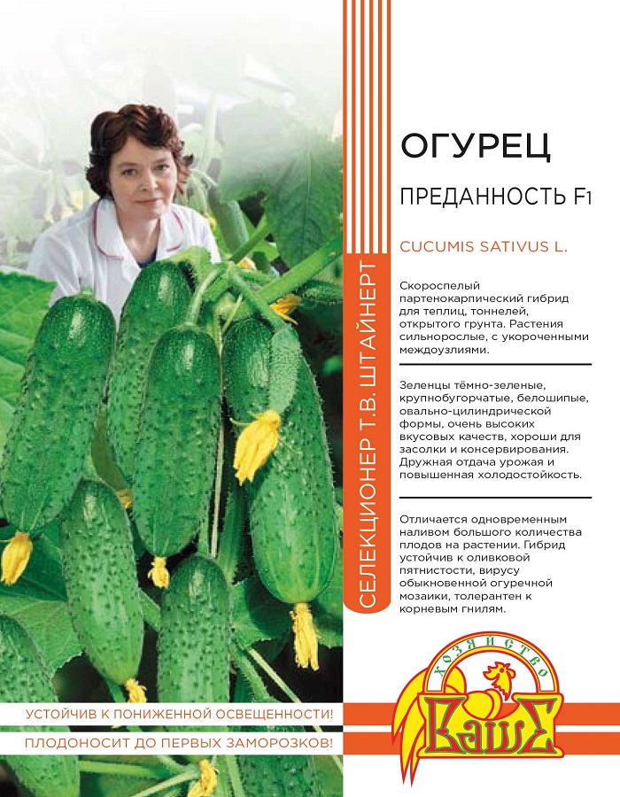 

Огурец Преданность F1 10 шт. цв.п (Штайнерт)