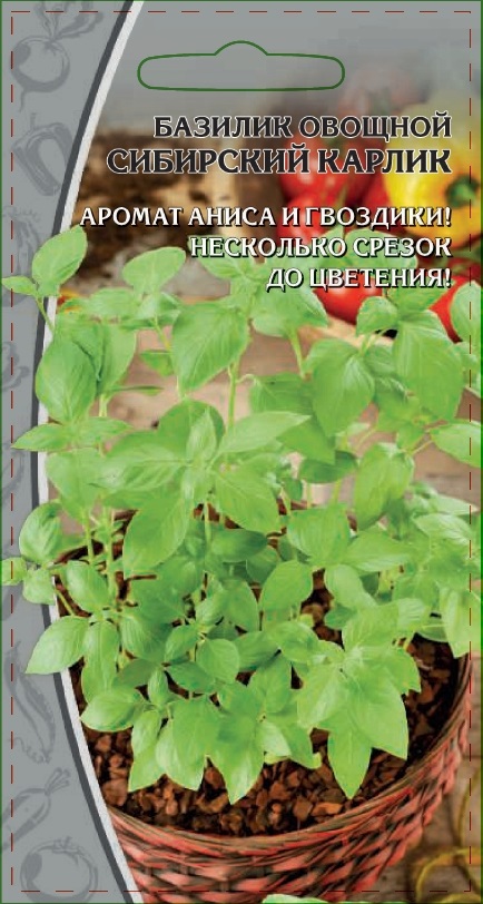 

Базилик овощной Сибирский карлик 0,5 гр цв.п.