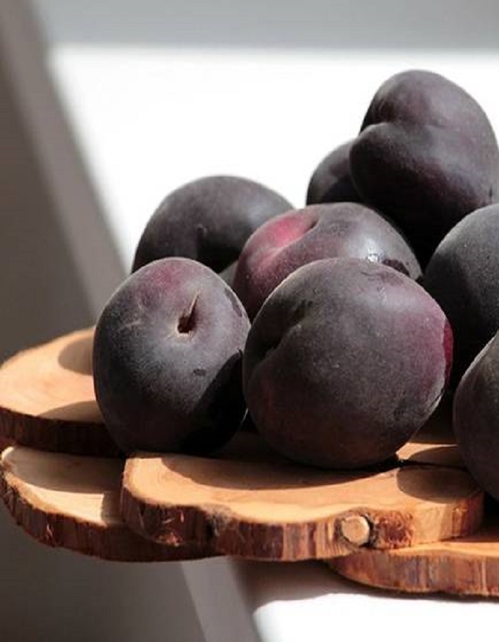 

Абрикос Черный принц