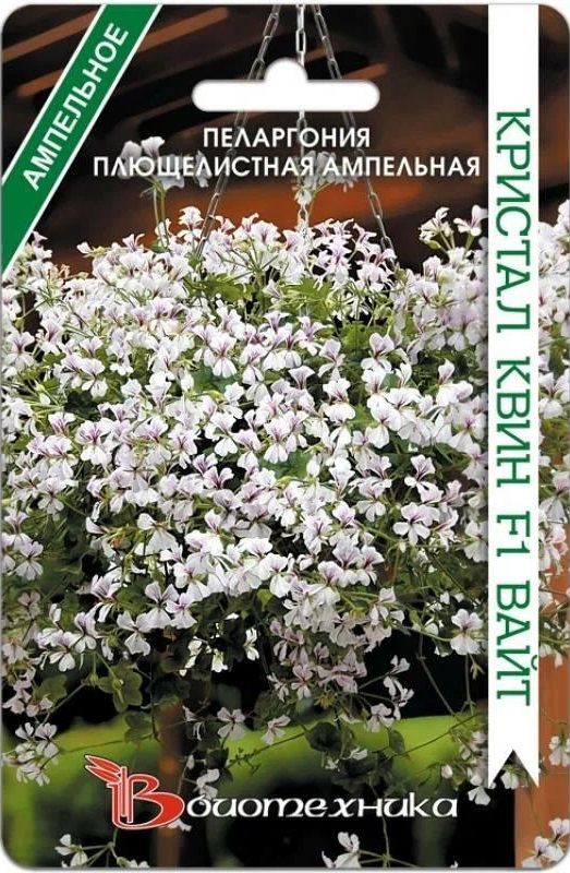 

Пеларгония плющелистная ампельная Кристал Квин F1 Вайт 5 шт