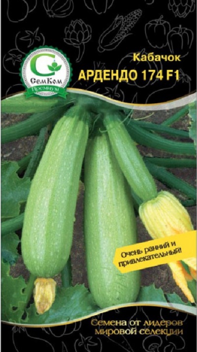 

Кабачок Ардендо F1 (Enza Zaden) 5шт цв.п.