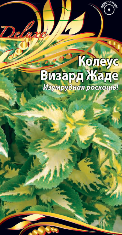 Колеус Визард Жаде 5 шт