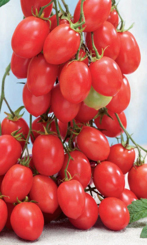 Томат Испанский Розовый (УД) 20 шт цв.п