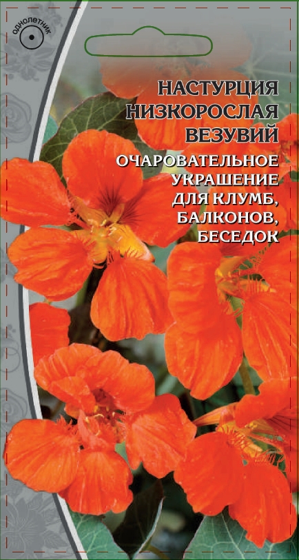 Настурция низкорослая Везувий 1 гр