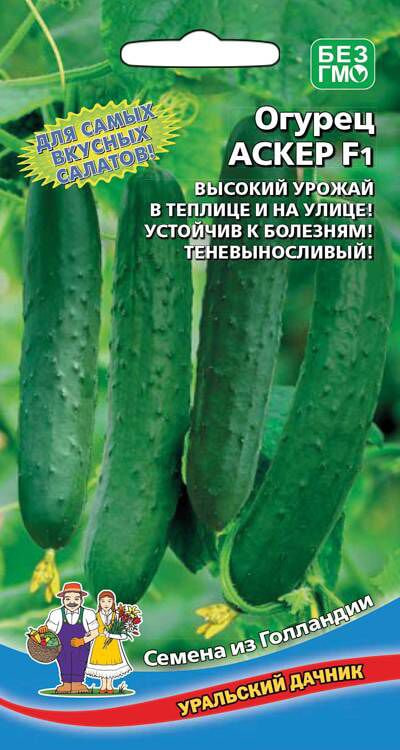Огурец Аскер F1 (УД) 8 шт цв.п