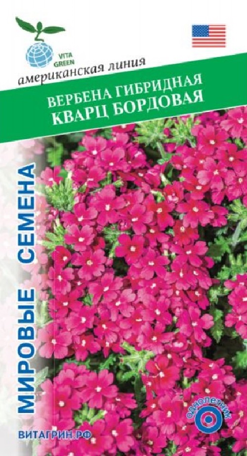 Вербена гибридная Кварц Бордо PanAmerican Seed10 шт 99₽