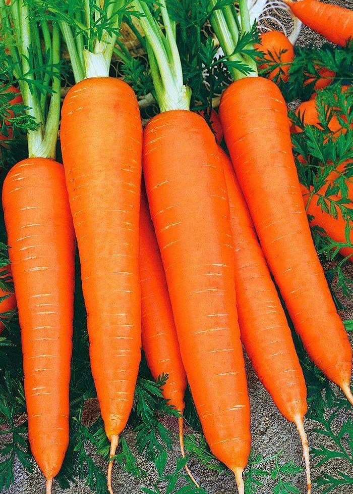Морковь Сладкоежка Супер F1 (УД) 2 гр цв.п. семена морковь сладкоежка f1 е п 0 25 г