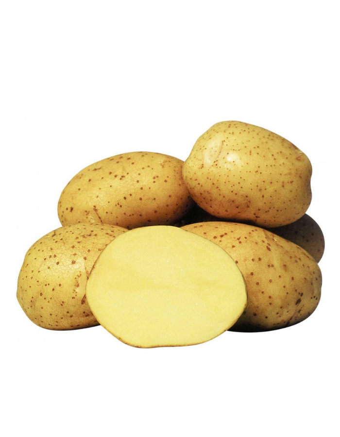 Картофель Колетте, РС1 2 кг