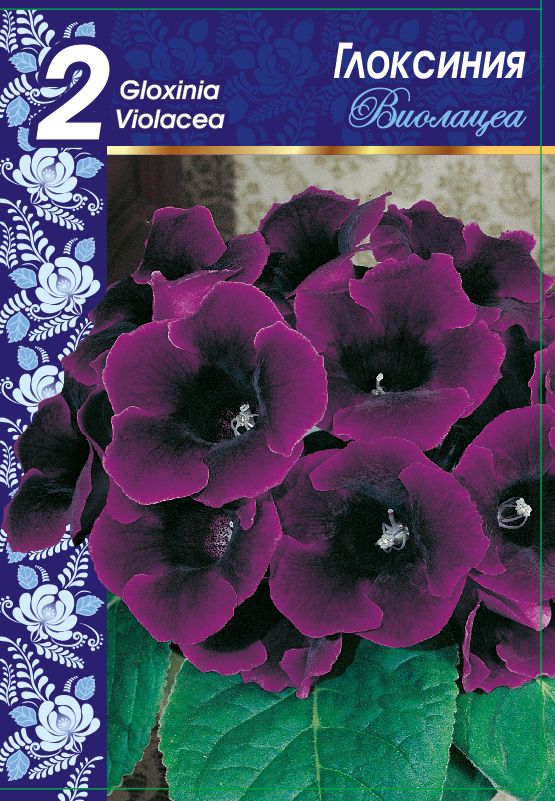 

Глоксиния Виолацеа 1 уп. (2шт.)