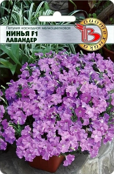 Петуния каскадная мелкоцветковая Нинья F1 Лавандер 5 шт