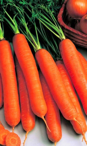 Морковь Оранжевая медовая (УД) 1,5 гр цв.п.