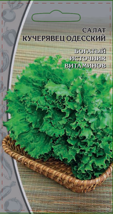 

Салат Кучерявец Одесский 0,25 гр цв.п
