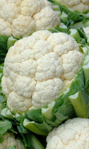 Капуста цветная Само совершенство F1 (УД) 0,25 гр. цв.п.