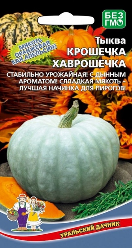 

Тыква Крошечка Хаврошечка (УД) 6 шт цв.п.