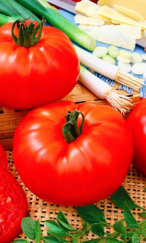 Томат Мастер Гарден F1 (УД) 12 шт. цв.п.