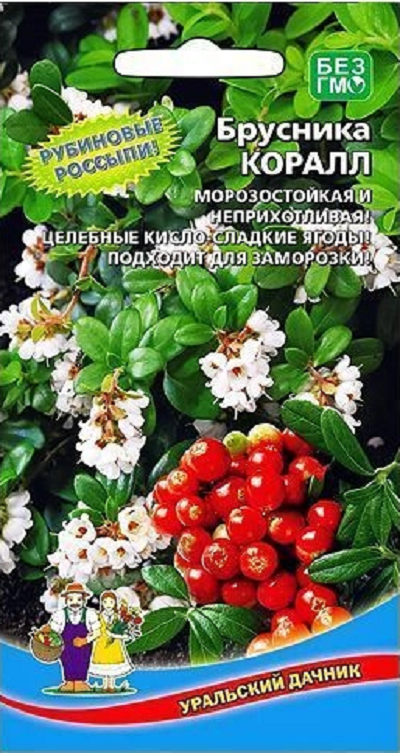 Брусника Коралл (УД) 20 шт. цв.п.