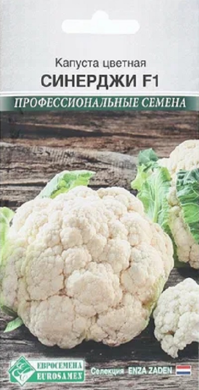 

Капуста цветная Синерджи F1 (Enza Zaden) 10шт. цв.п.