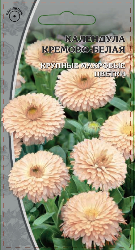 Календула Кремово-белая 1 гр 38₽
