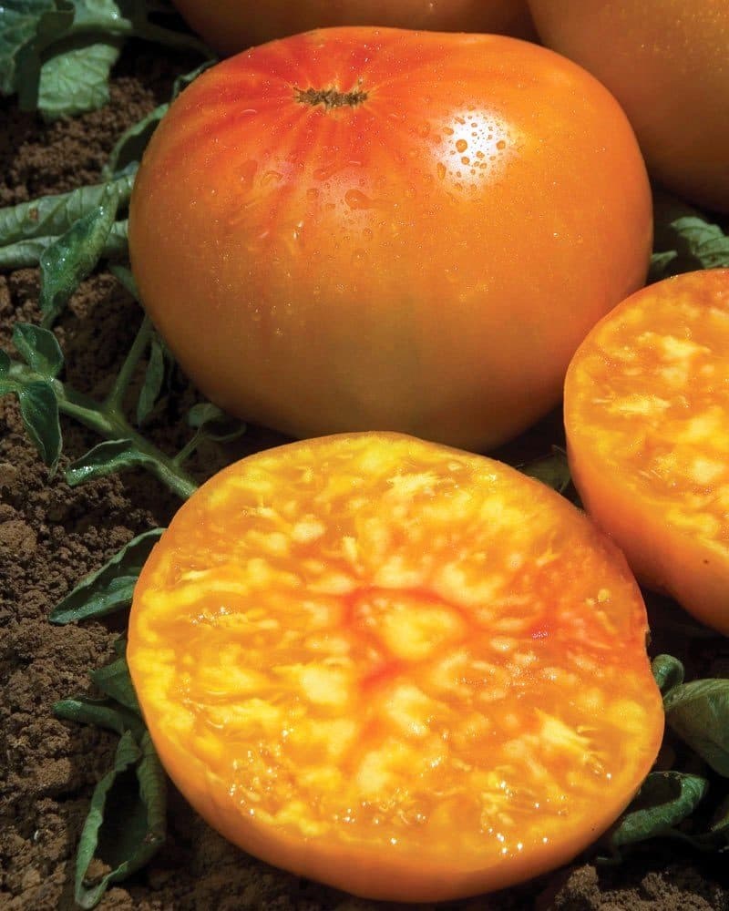 Томат Алтайский Оранжевый (УД) 20 шт цв.п томат алтайский оранжевый семена