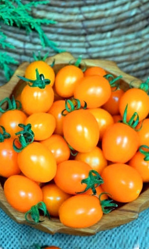 Томат Карат (УД) 20шт цв.п