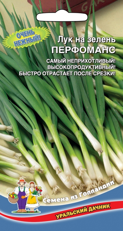 Лук на зелень Перфоманс (УД) 0,25 гр цв.п.
