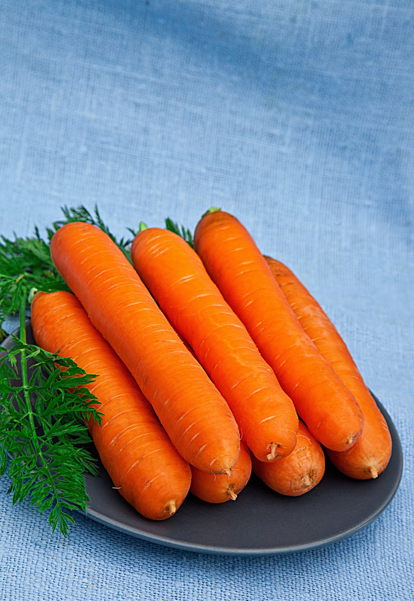 Морковь Лосиноостровская 13 (Гранулы) 300 шт морковь витаминная 6 гранулы 300 шт