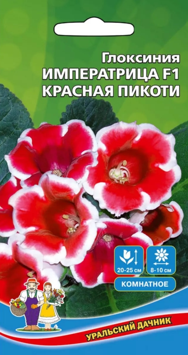 

Глоксиния Императрица F1 Красная Пикоти (УД) цв.п 5 шт