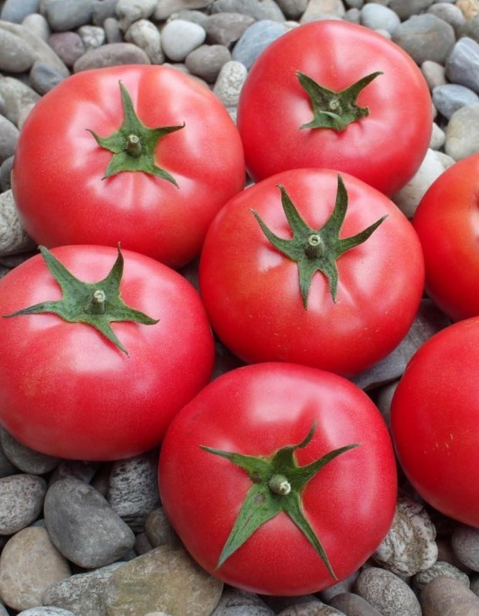 

Томат Ляна (УД) 20 шт. цв.п.