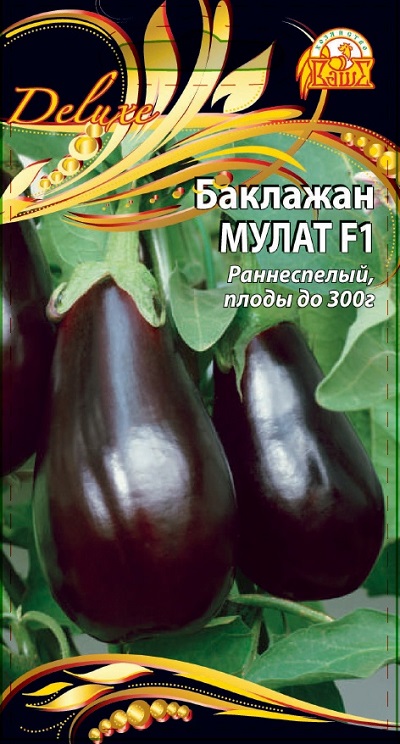 

Баклажан Мулат F1 (Селекция "ВХ") 0,1 гр цв.п.
