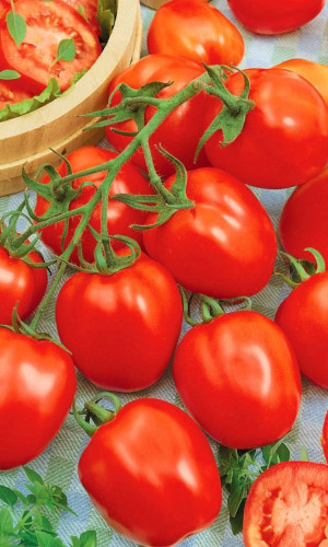 Томат Элегант (УД) 20 шт цв п