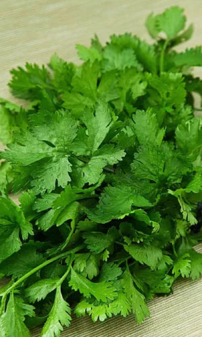 

Кориандр (кинза) Малахитовый титан (Марс) (УД) 2 гр б п