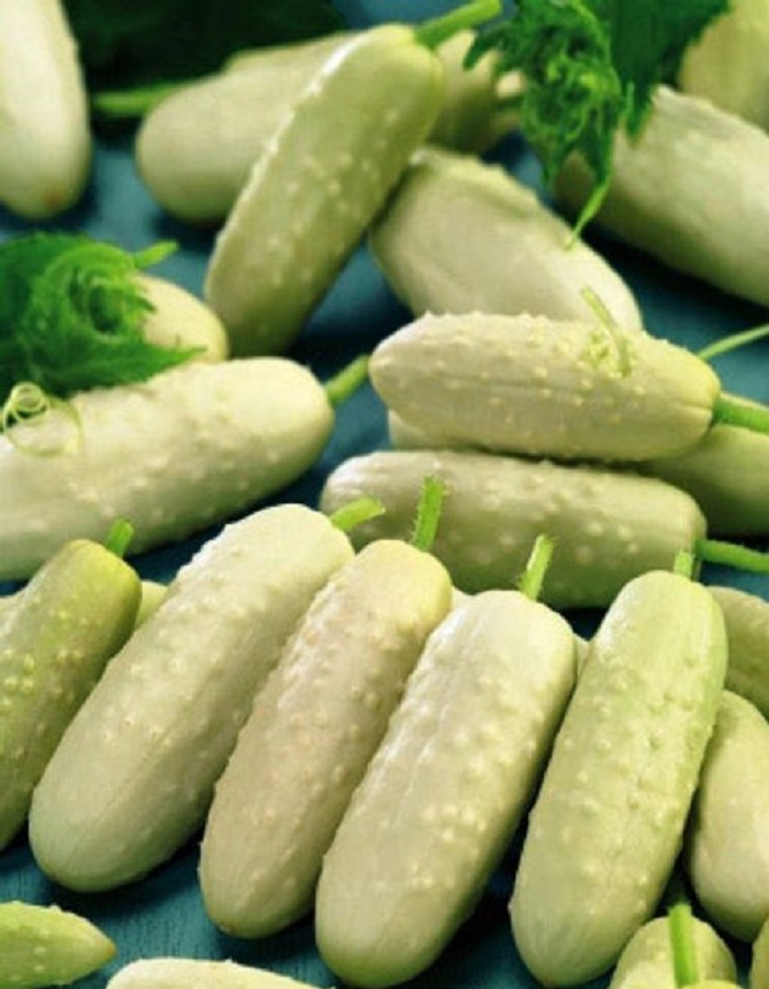 

Огурец Белый Сахар F1 (УД) 12 шт цв.п