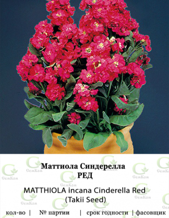 Маттиола Синдерелла Ред 50шт (Takii Seed) роза синдерелла топалович